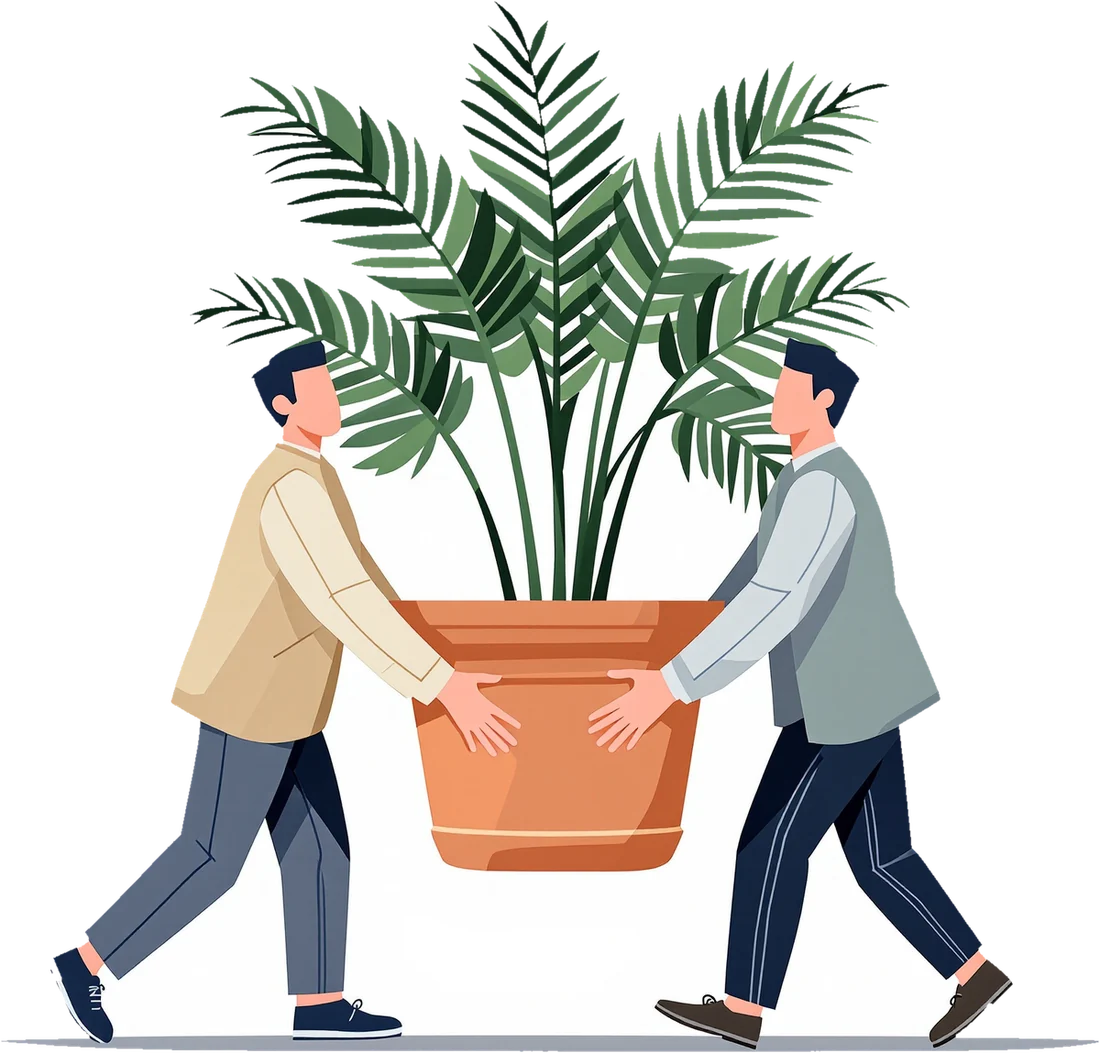 Two members of staff carrying a large potted palm.